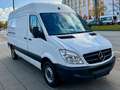 Mercedes-Benz Sprinter II Kasten 213 CDI / HOCH & LANG/TÜV NEU Weiß - thumbnail 23