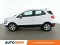 Ford EcoSport 1.0 EcoBoost Connect  100 CV Bianco - thumbnail 3