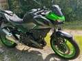 Kawasaki Z 500 SE Verde - thumbnail 2