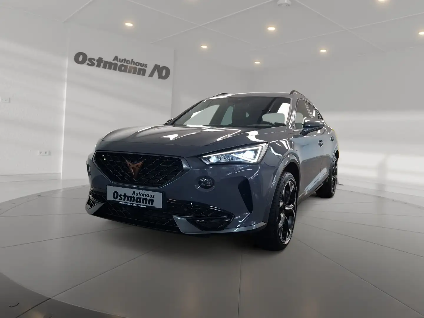 CUPRA Formentor 1.5 TSI ACC AHK RFK LED 19'' SHZ Grau - 1