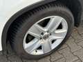 Volkswagen Tiguan Cup Sport & Style BMT PDC* AHK* Sitzhz.* Blanc - thumbnail 15