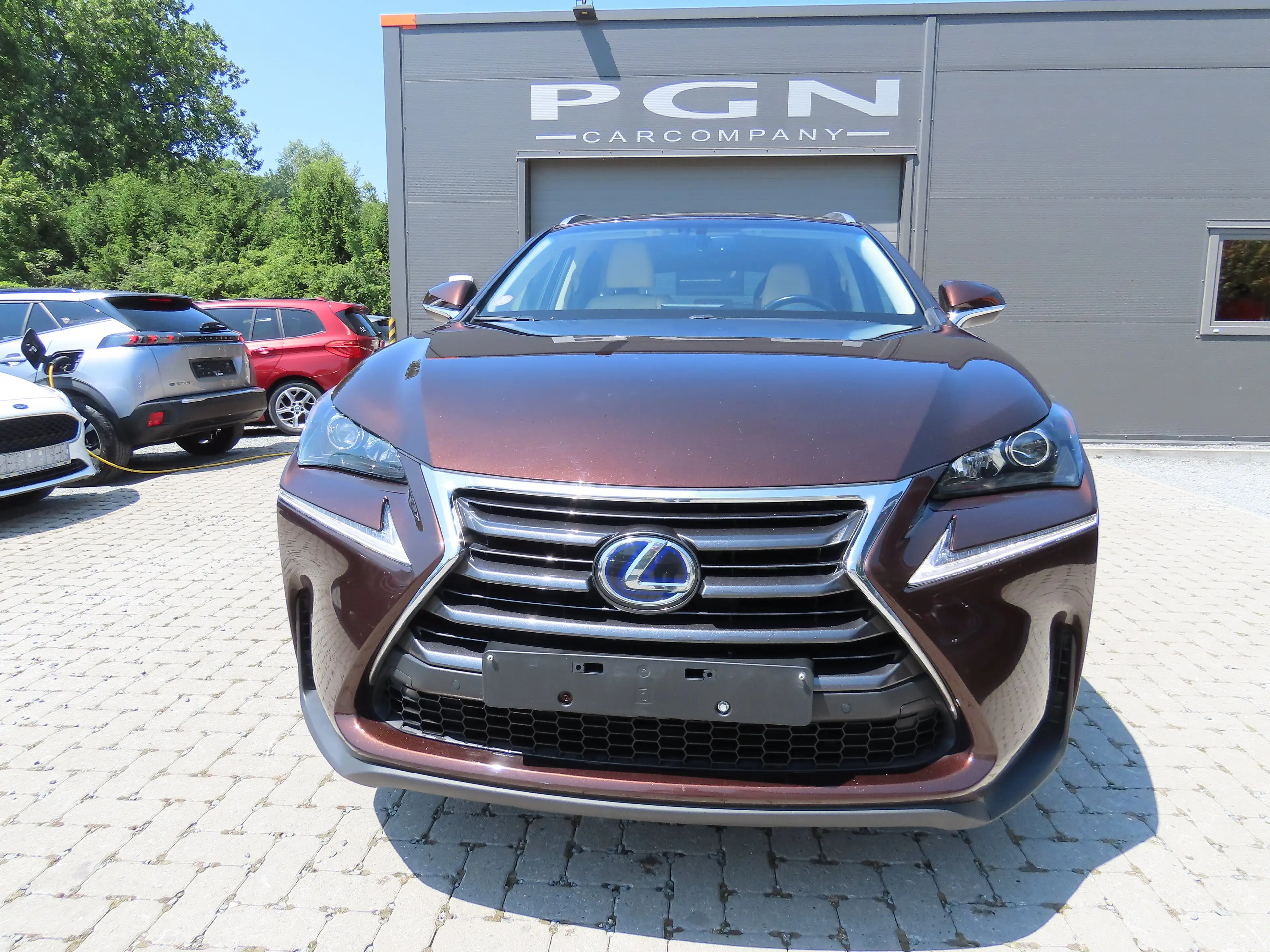 Lexus NX 300h 2.5i AWD Executive Line E-CVT — photo 4