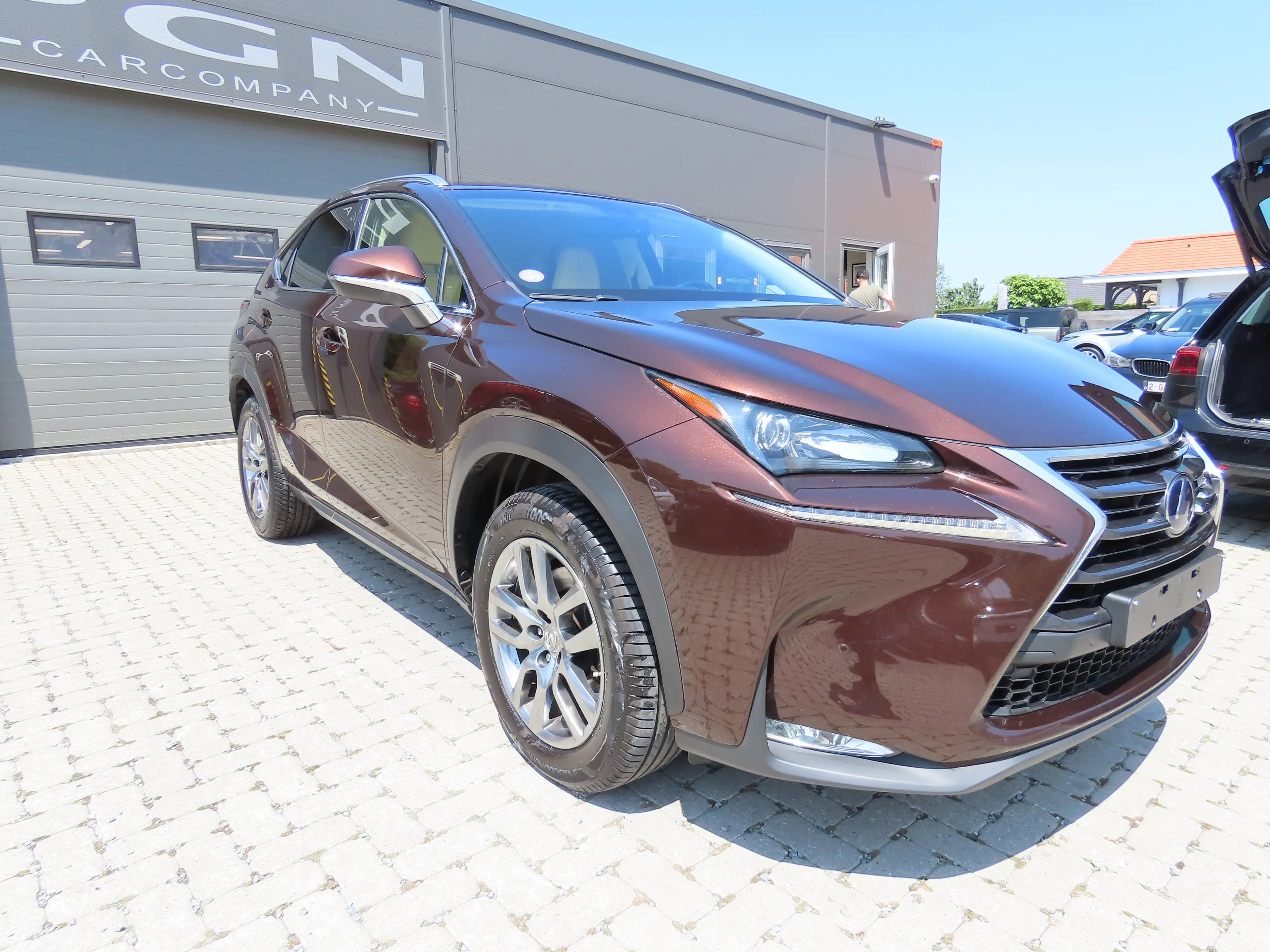 Lexus NX 300h 2.5i AWD Executive Line E-CVT — photo 5