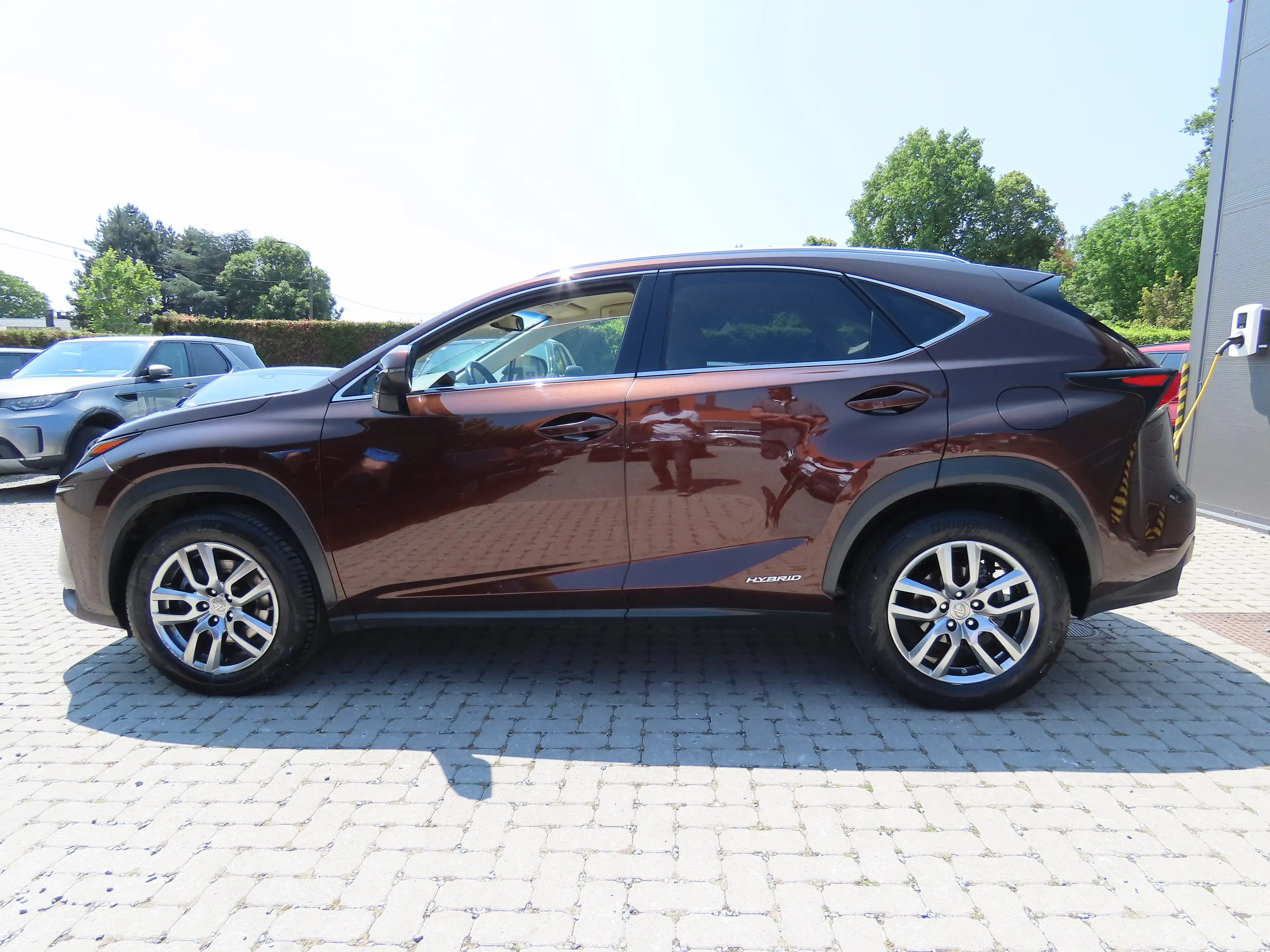 Lexus NX 300h 2.5i AWD Executive Line E-CVT — photo 13