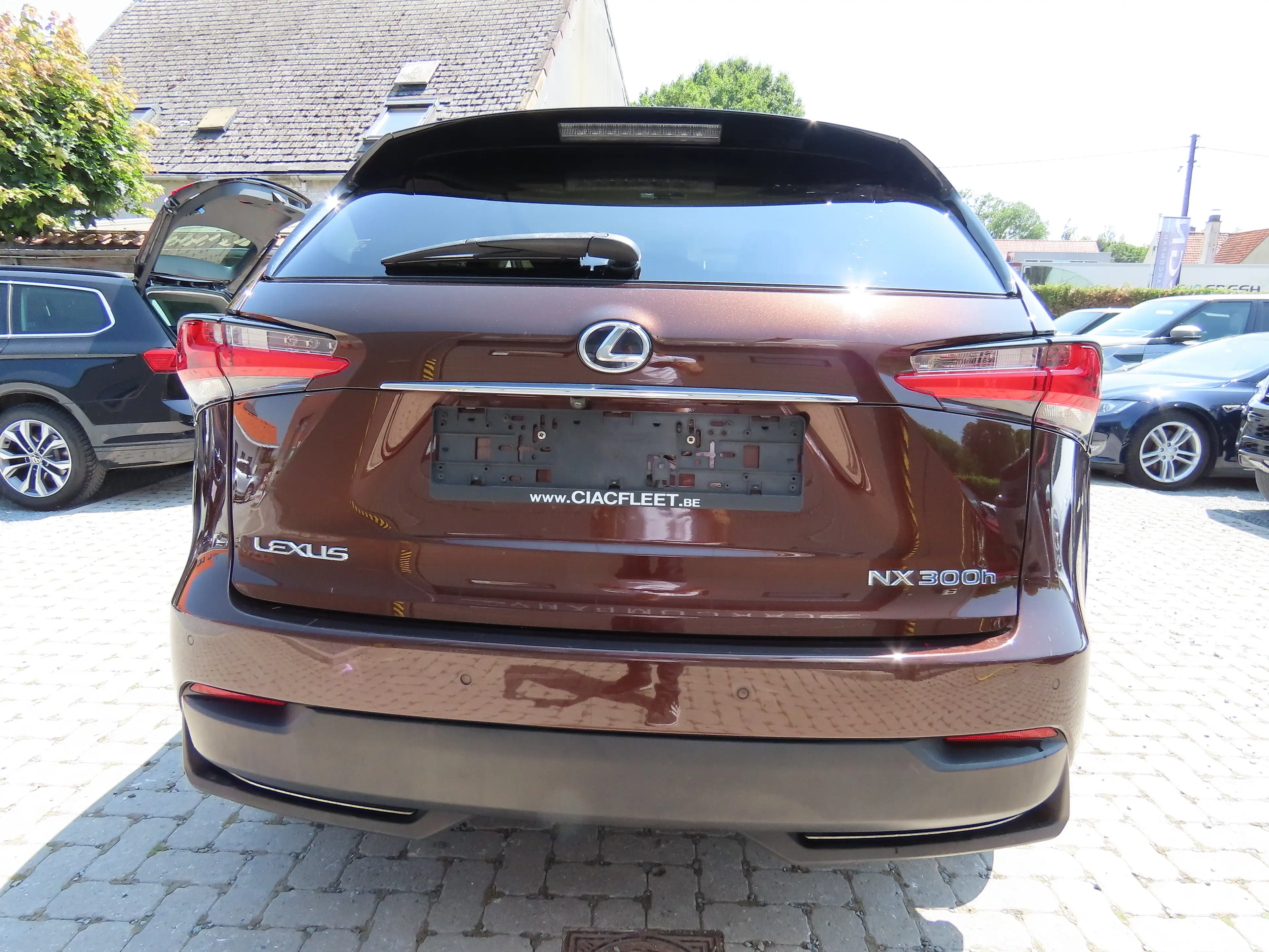 Lexus NX 300h 2.5i AWD Executive Line E-CVT — photo 11