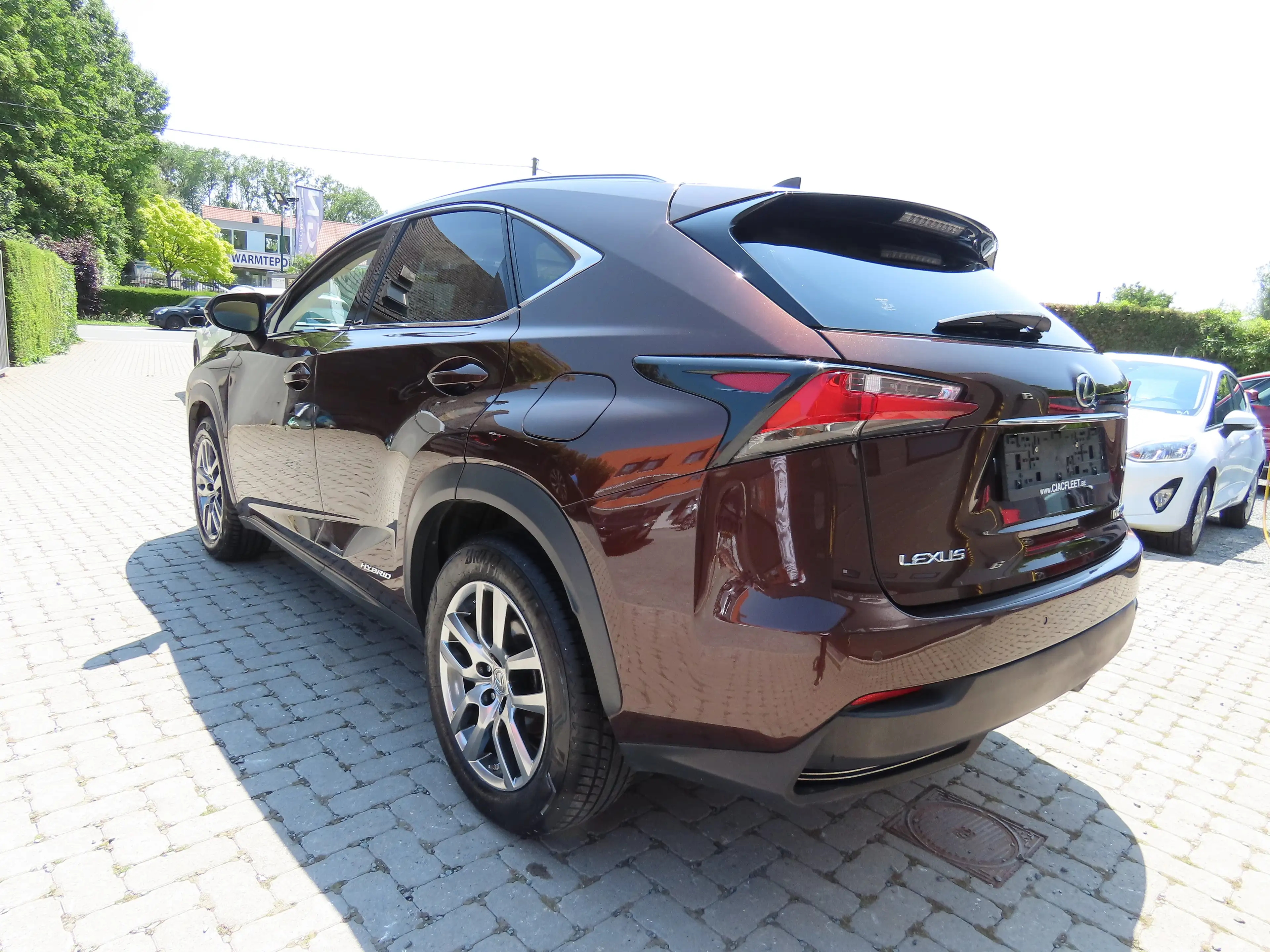 Lexus NX 300h 2.5i AWD Executive Line E-CVT — photo 3