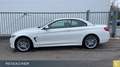 BMW 440 i xDrive Cabrio M-Sport,AHK,adLED,ACC,HUD,RFK Weiß - thumbnail 9