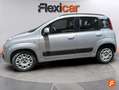 Fiat Panda 1.2 Easy Gris - thumbnail 4