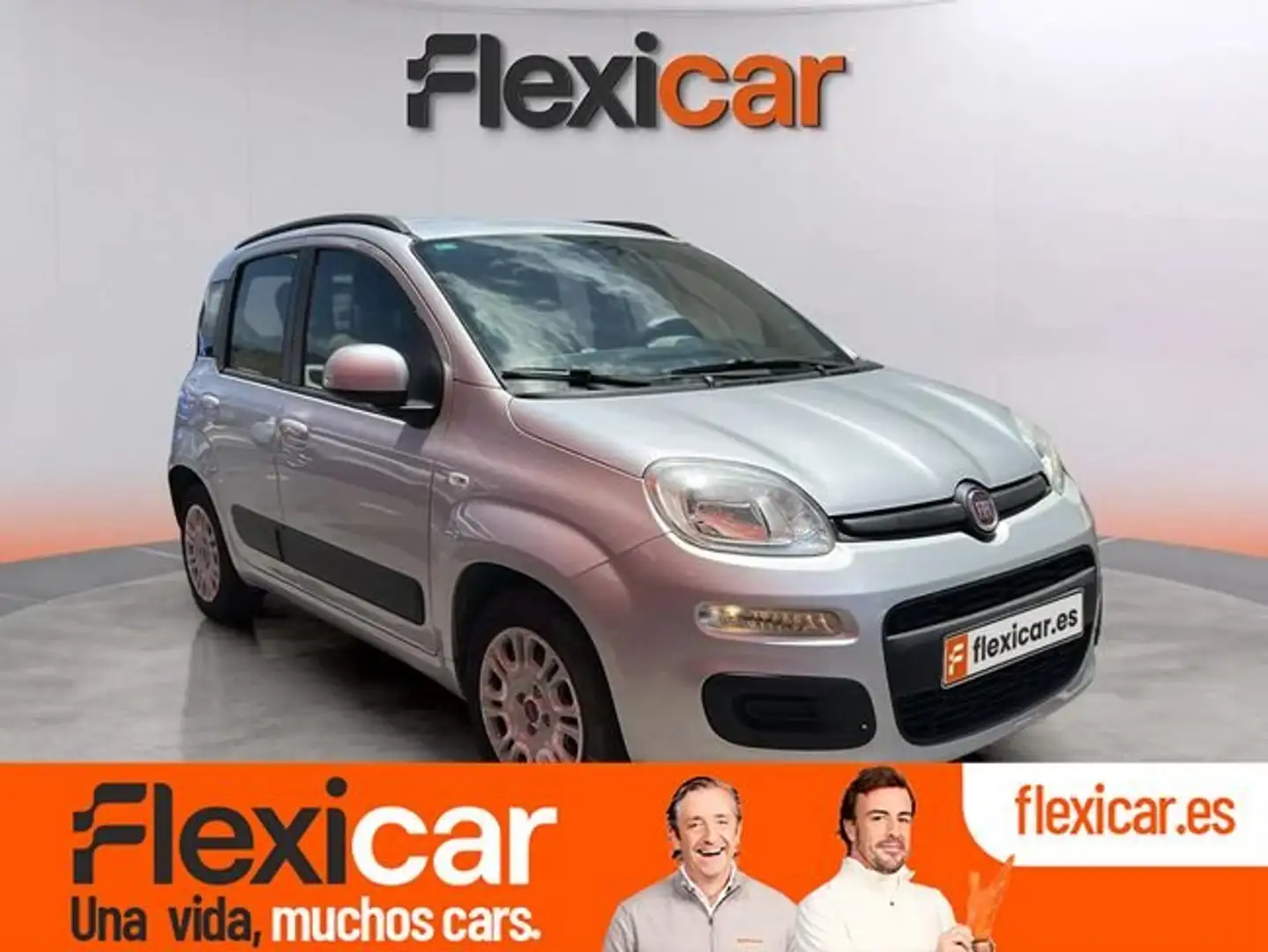 Fiat Panda 1.2 Easy Gris - 1