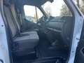 Renault Master 2.3 7PL 19835€+BTW/TVA Blanc - thumbnail 10