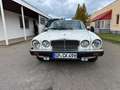 Jaguar XJ Weiß - thumbnail 2