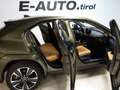 Lexus UX 250h E-four Luxury Aut. *ALLRAD *HYBRID *VOLLAUSSTATTU Grün - thumbnail 12