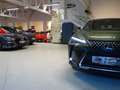 Lexus UX 250h E-four Luxury Aut. *ALLRAD *HYBRID *VOLLAUSSTATTU Grün - thumbnail 2