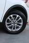 Ford Kuga Titanium 2.0 EcoBlue MHEV 110kW (150CV) Weiß - thumbnail 10