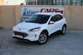 Ford Kuga Titanium 2.0 EcoBlue MHEV 110kW (150CV) Weiß - thumbnail 2
