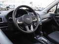 Subaru Forester 2.0 Premium | Navi | Cruise | Leder | Camera | Pan Grey - thumbnail 10