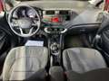Kia Rio 1.1CRDi Concept Rojo - thumbnail 8