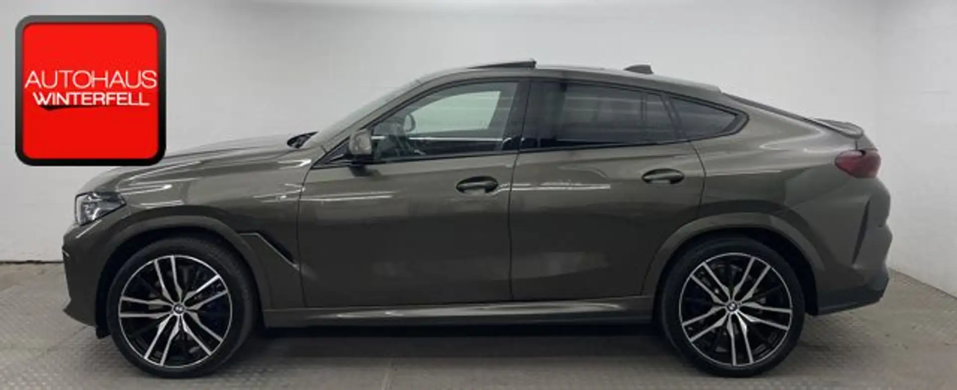 BMW X6 xDrive 40d M SPORT PANO-SKY+CARBON+B&W+SOFT Maro - 2