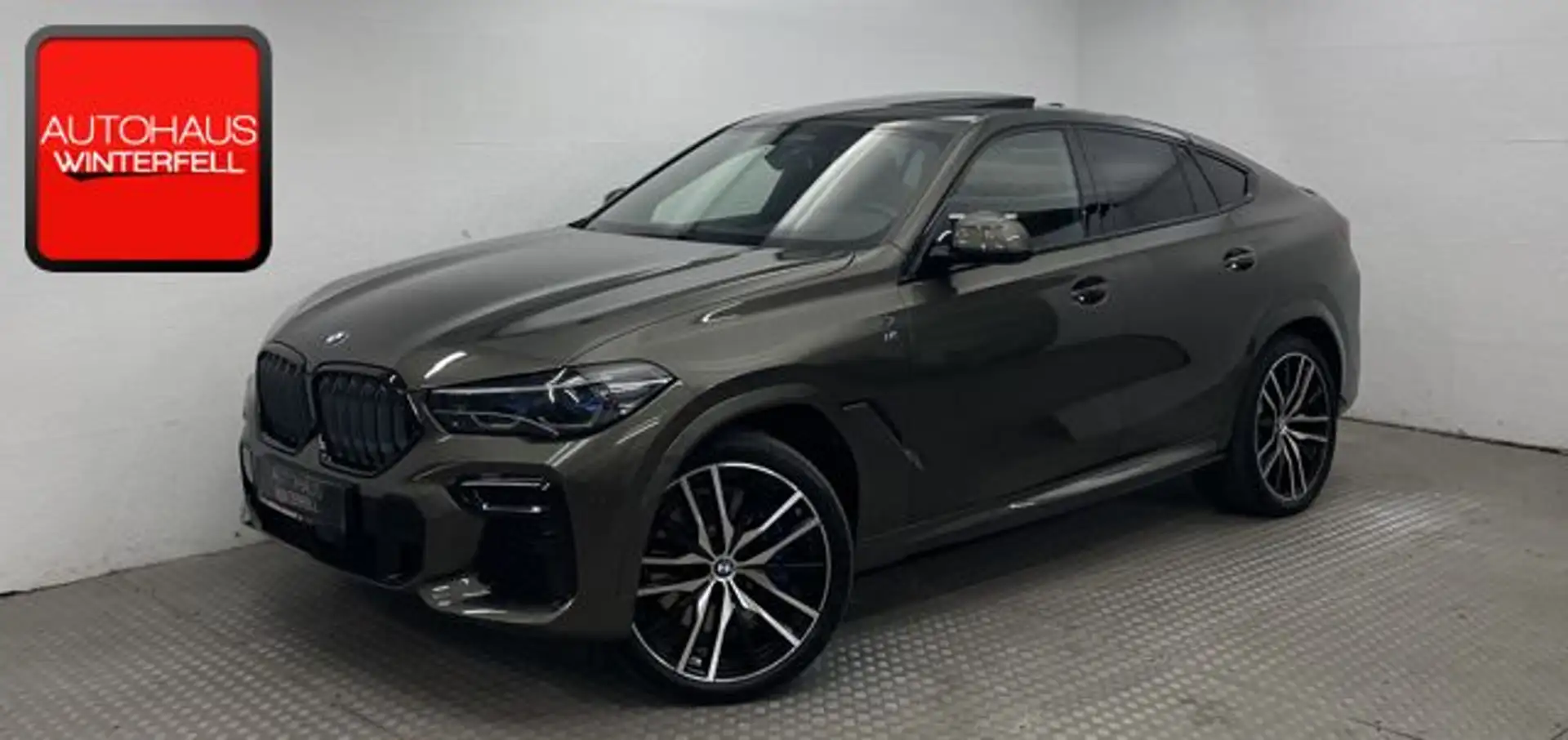 BMW X6 xDrive 40d M SPORT PANO-SKY+CARBON+B&W+SOFT Maro - 1