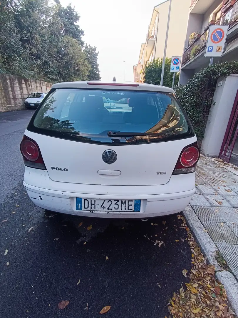 Volkswagen Polo 5p 1.4 tdi Sportline 80cv - 2