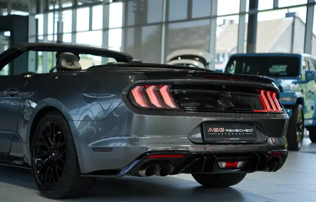 Ford Mustang view 14
