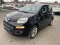 Fiat Panda Panda 1.2 Noir - thumbnail 2