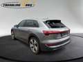 Audi e-tron 50 quattro S-line Grau - thumbnail 9