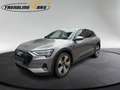Audi e-tron 50 quattro S-line Grau - thumbnail 7