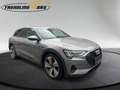 Audi e-tron 50 quattro S-line Grau - thumbnail 6