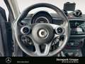 smart forTwo fortwo cabrio passion KOMPLETT GRAU MATT*KAMERA BC Grigio - thumbnail 12