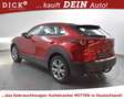 Mazda CX-30 2.0 Select HEAD+NAV+KAM+LED+AHK+LEDER+ACC+ Rot - thumbnail 5