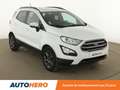 Ford EcoSport 1.0 EcoBoost Trend Blanc - thumbnail 8