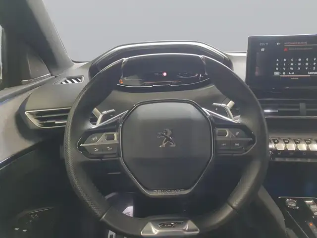 Peugeot 3008 view 14