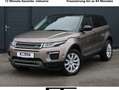 Land Rover Range Rover Evoque Range Rover Evoque SE 2,0 TD4 Aut. SE Brun - thumbnail 1