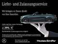 Mercedes-Benz E 300 E 300 de T AMG Dist PanoSD MLED Keyless Burm 360 Silber - thumbnail 19