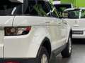 Land Rover Range Rover Evoque 2.2L TD4 Pure 4x4 Blanco - thumbnail 19