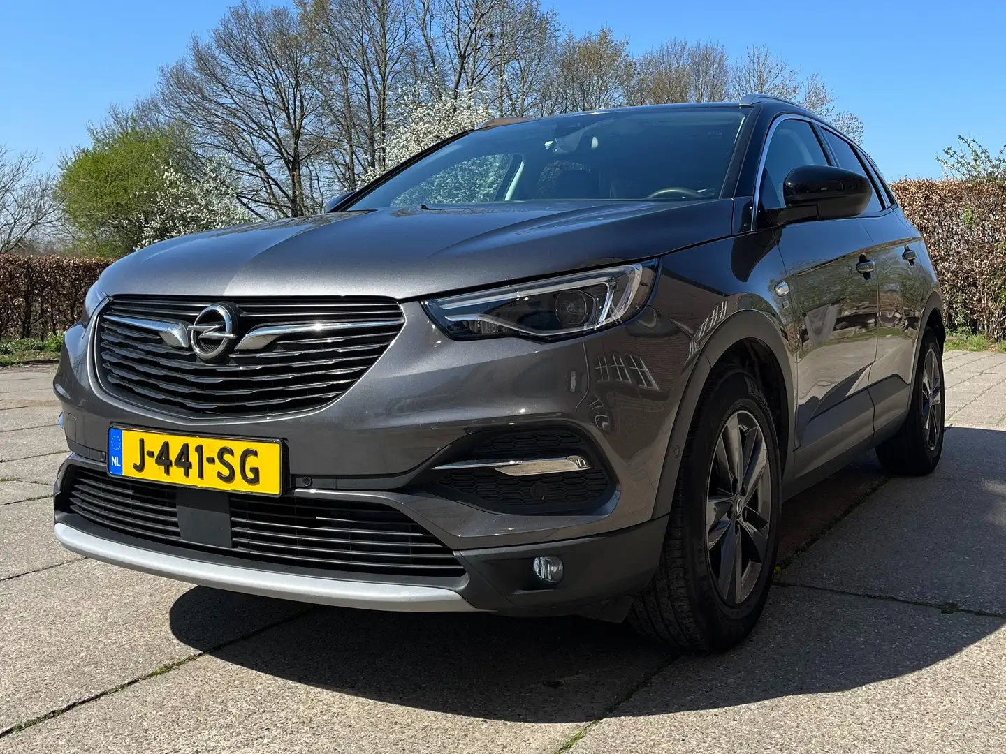 Opel Grandland X Grandland X 1.2 Turbo Innovation Gri - 2