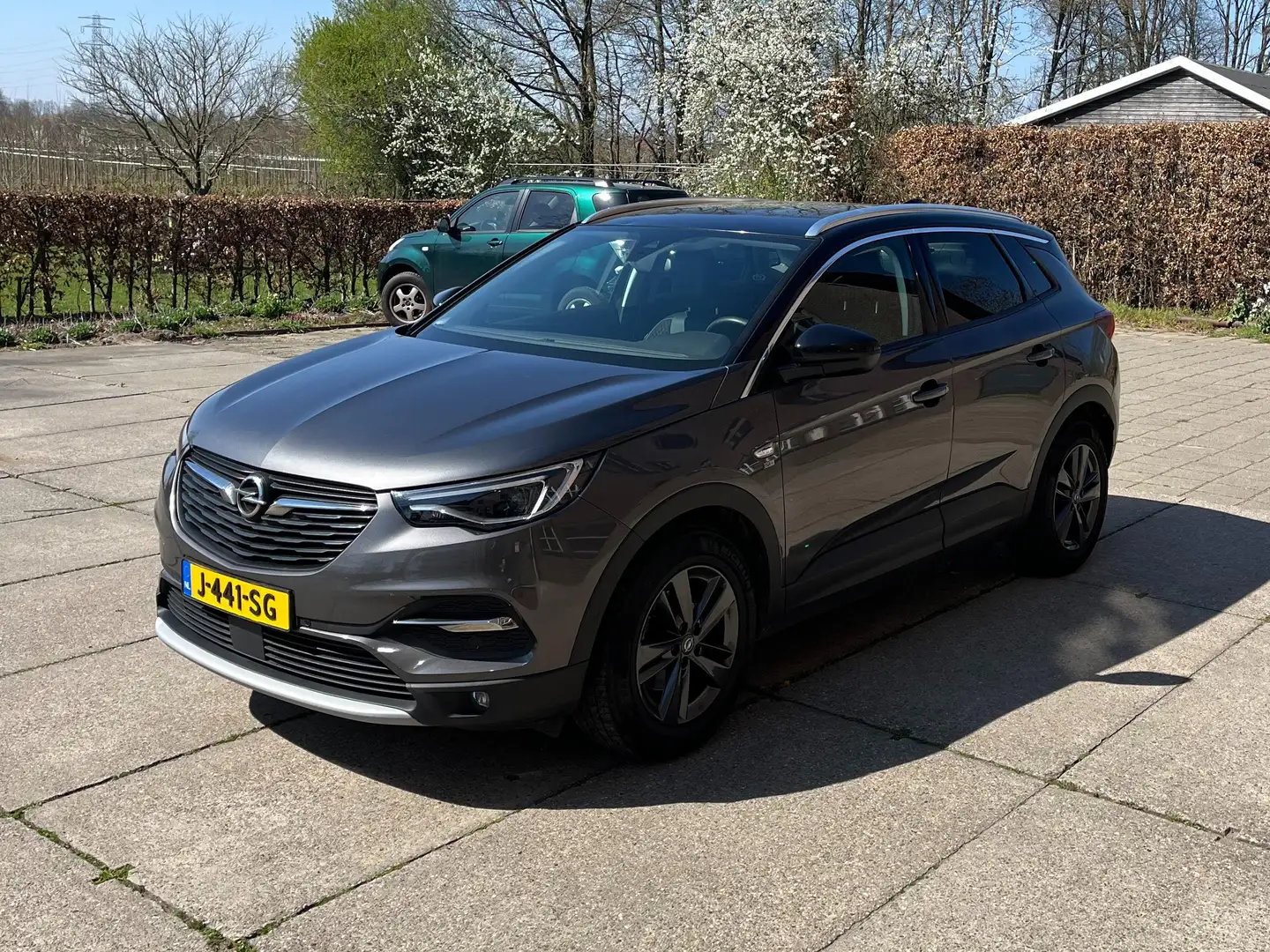 Opel Grandland X Grandland X 1.2 Turbo Innovation Gri - 1