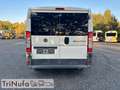 Fiat Ducato | Klima | Schaltgetriebe | 9 Sitze | Blanc - thumbnail 7