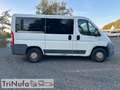 Fiat Ducato | Klima | Schaltgetriebe | 9 Sitze | Blanc - thumbnail 10