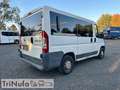Fiat Ducato | Klima | Schaltgetriebe | 9 Sitze | Blanc - thumbnail 5