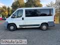 Fiat Ducato | Klima | Schaltgetriebe | 9 Sitze | Blanc - thumbnail 9