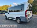 Fiat Ducato | Klima | Schaltgetriebe | 9 Sitze | Blanc - thumbnail 4