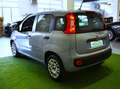 Fiat Panda Panda 1.2 Easy **NESSUN VINCOLO FINANZIARIO** Grigio - thumbnail 3