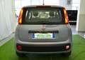 Fiat Panda Panda 1.2 Easy **NESSUN VINCOLO FINANZIARIO** Grigio - thumbnail 4