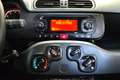 Fiat Panda Panda 1.2 Easy **NESSUN VINCOLO FINANZIARIO** Grigio - thumbnail 10