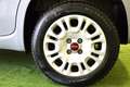 Fiat Panda Panda 1.2 Easy **NESSUN VINCOLO FINANZIARIO** Grigio - thumbnail 14