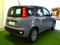 Fiat Panda Panda 1.2 Easy **NESSUN VINCOLO FINANZIARIO** Grigio - thumbnail 5