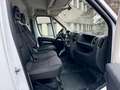 Peugeot Boxer Kasten Hochraum 435 L4H2 Premium BlueHDi 1 Weiß - thumbnail 11
