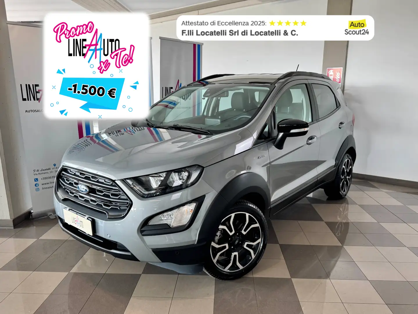 Ford EcoSport 1.0 EcoBoost 125 CV Start&Stop Active Gris - 1